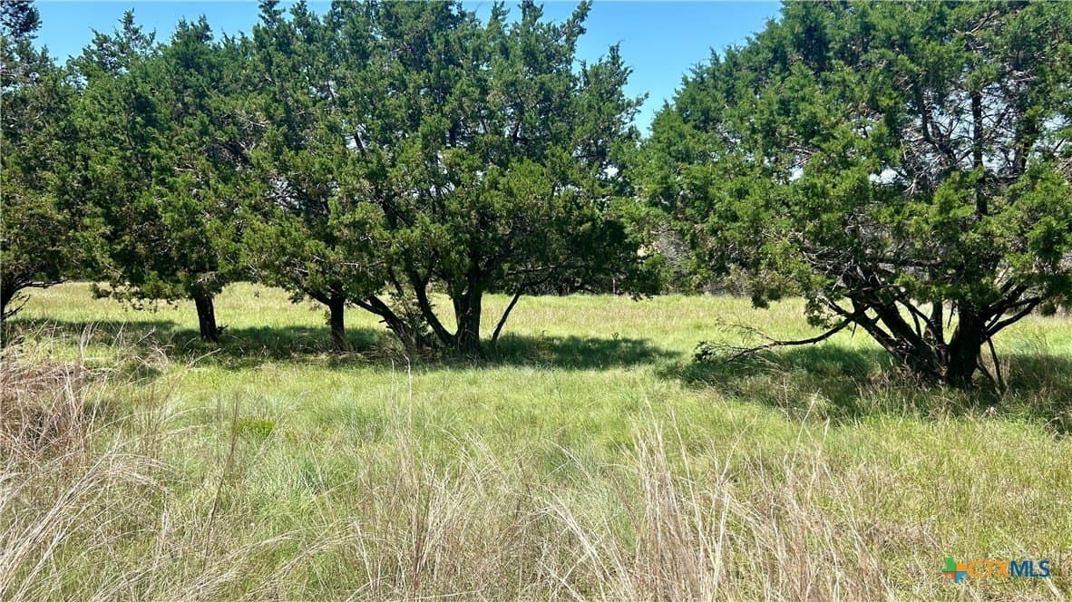 20.36 acres in Coryell County - photo 13