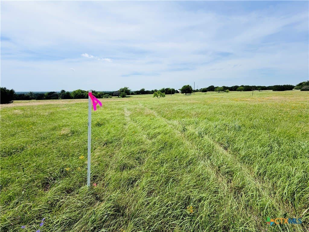 20.36 acres in Coryell County - photo 14