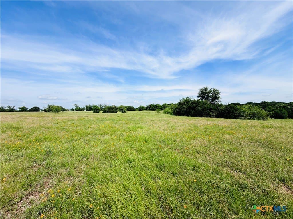 20.36 acres in Coryell County - photo 8