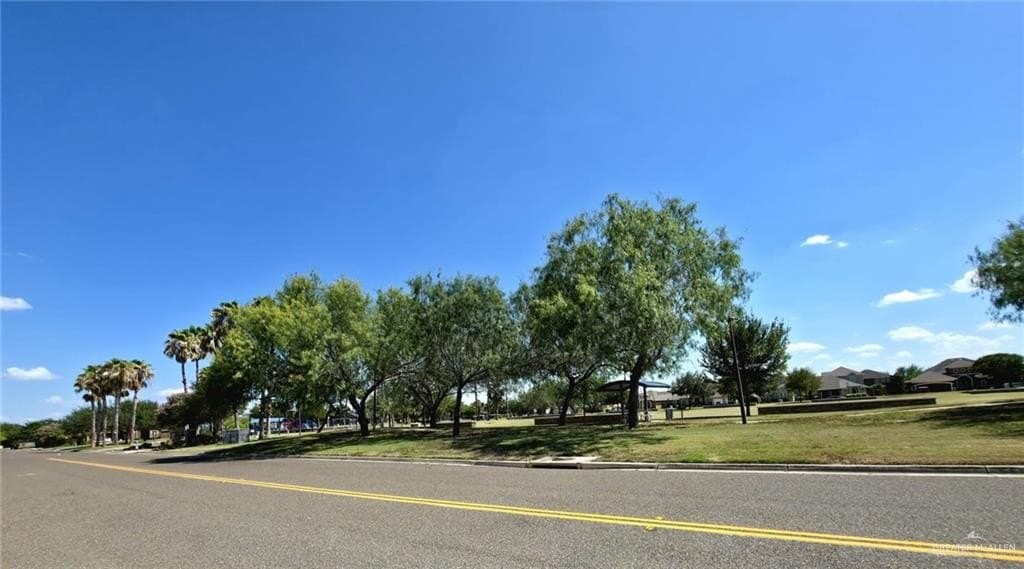 0.5 acres in Hidalgo County - photo 4