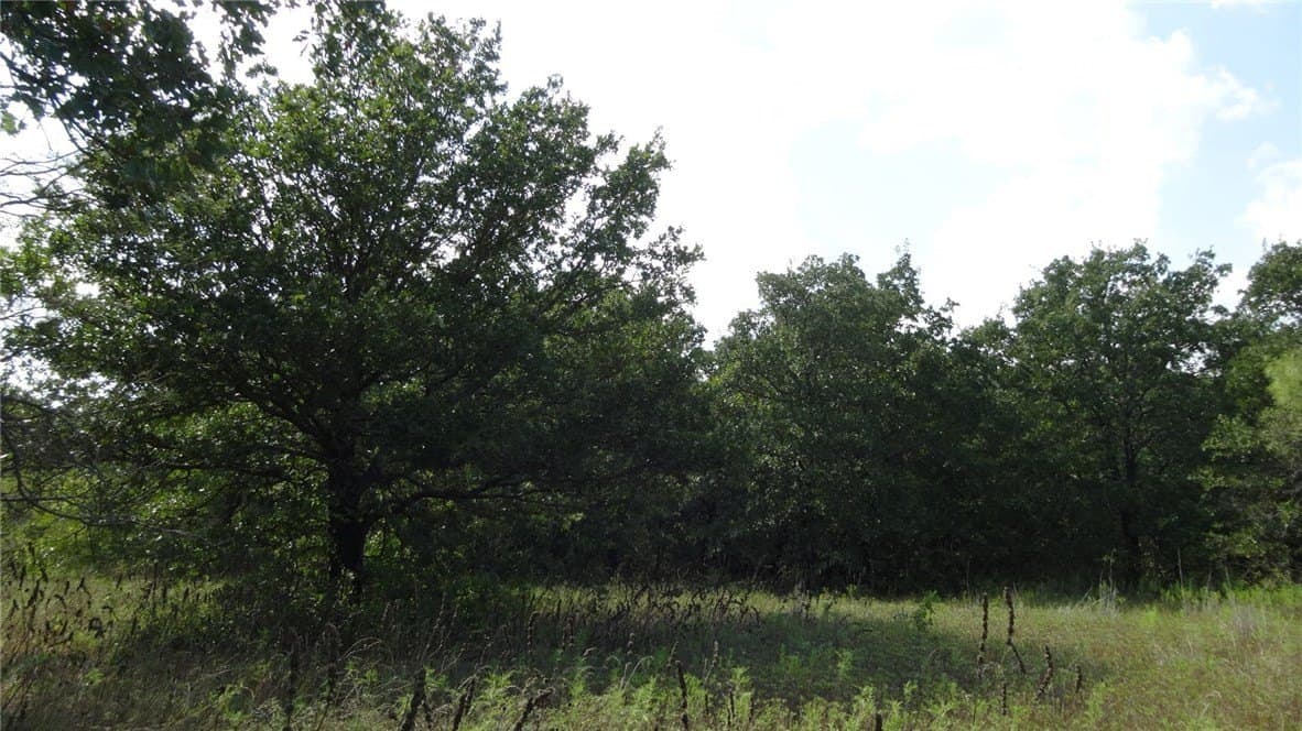 108.73 acres in Wise County gallery image 4