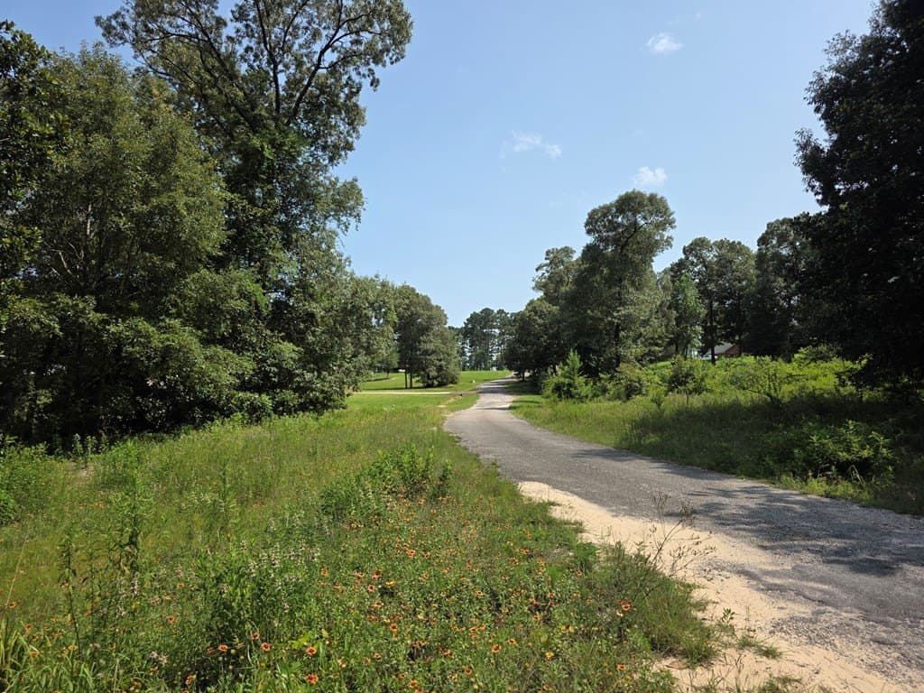 1.53 acres in Texas County - photo 10