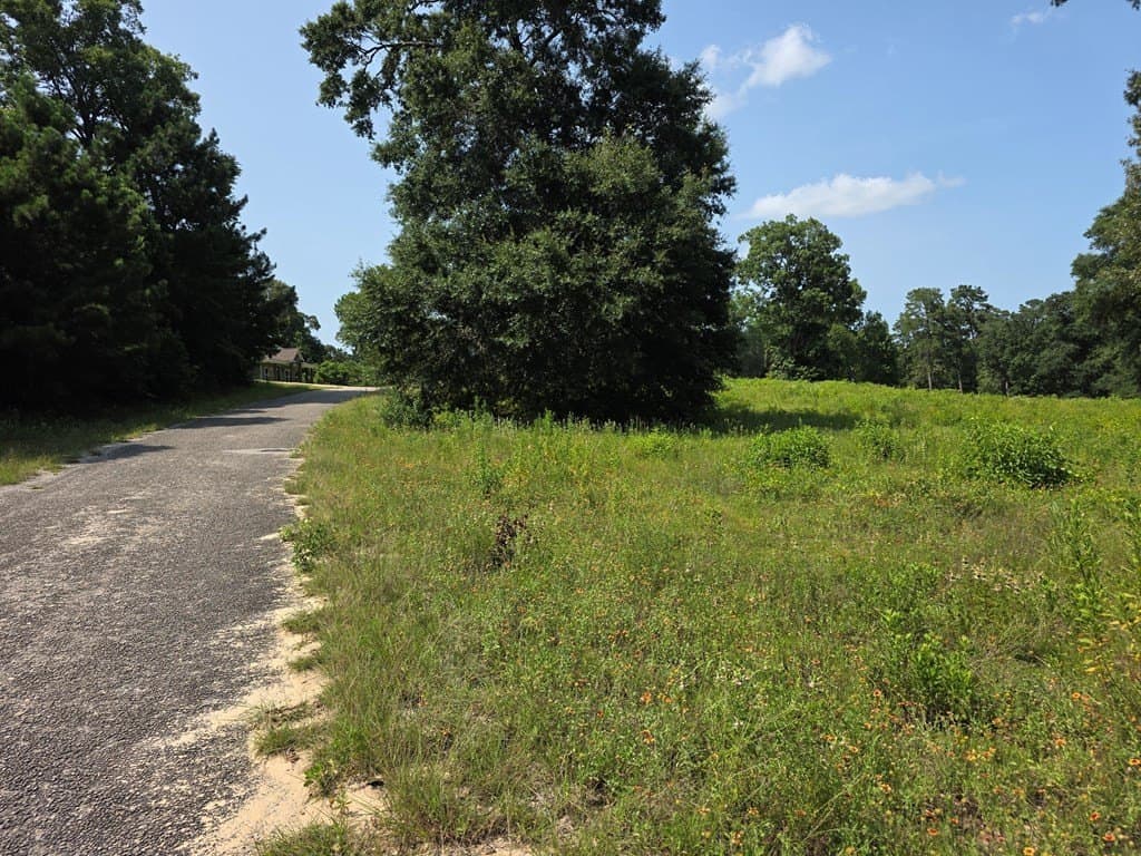 1.53 acres in Texas County - photo 9