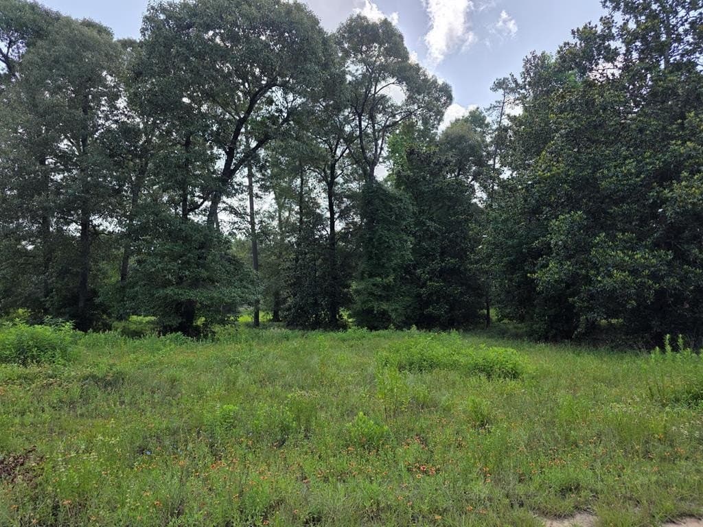 1.53 acres in Texas County