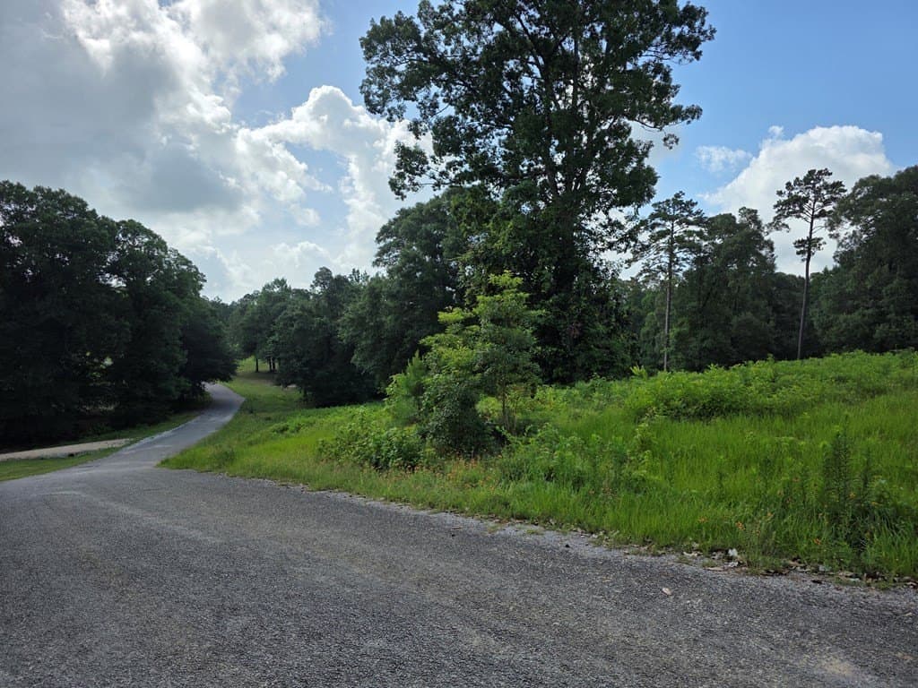 1.53 acres in Texas County - photo 8