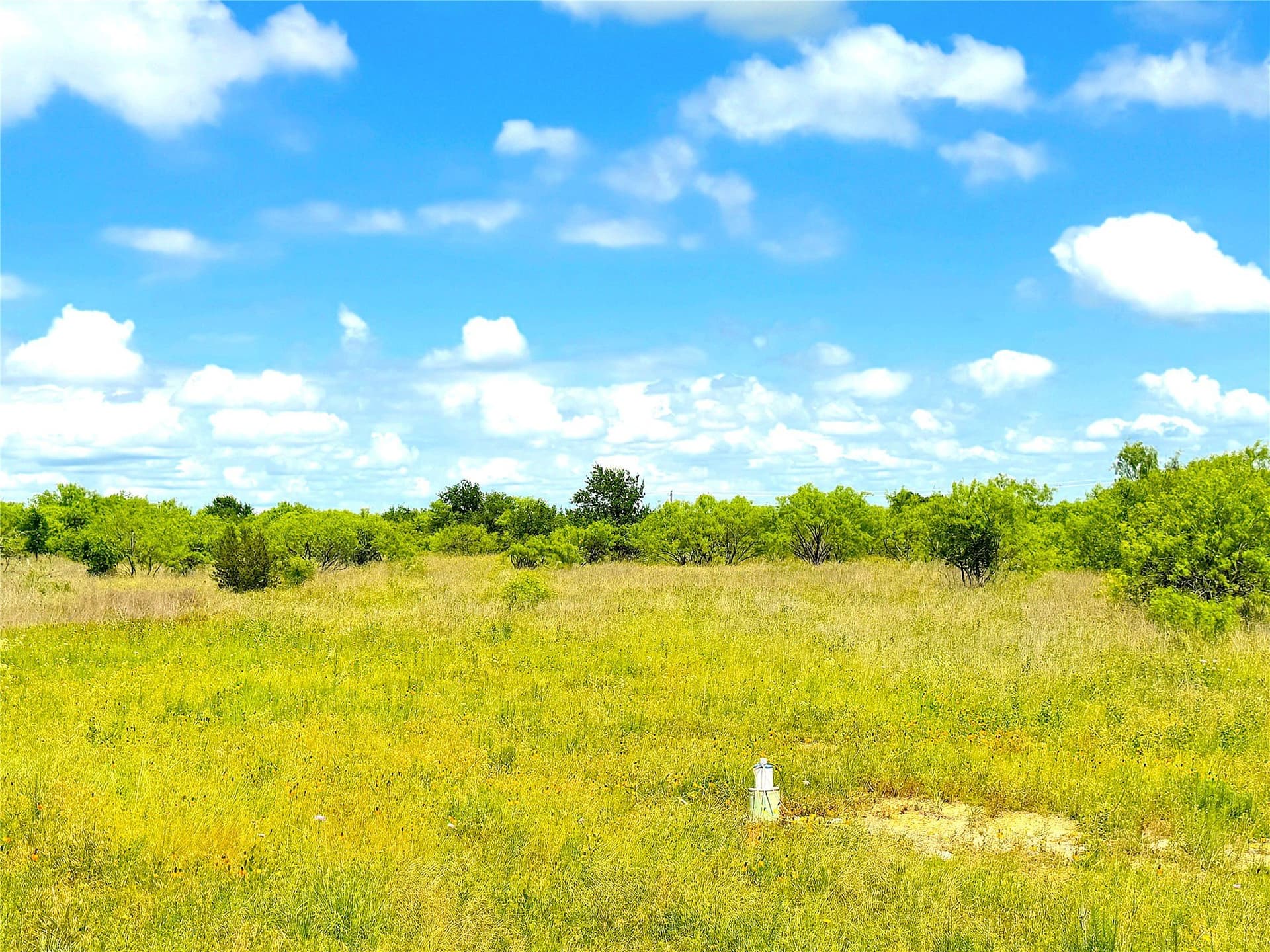 5 acres in Parker County - photo 7