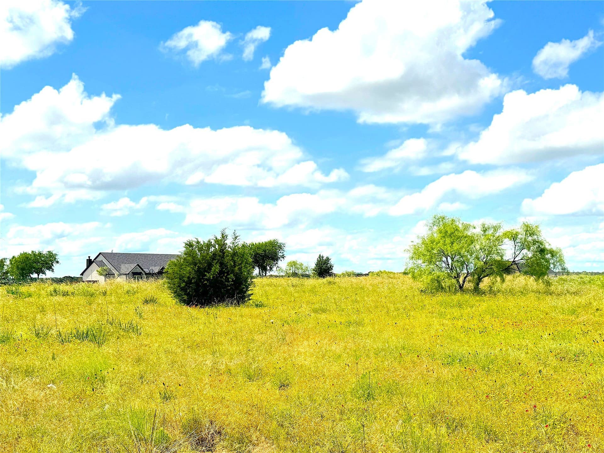 5 acres in Parker County - photo 11