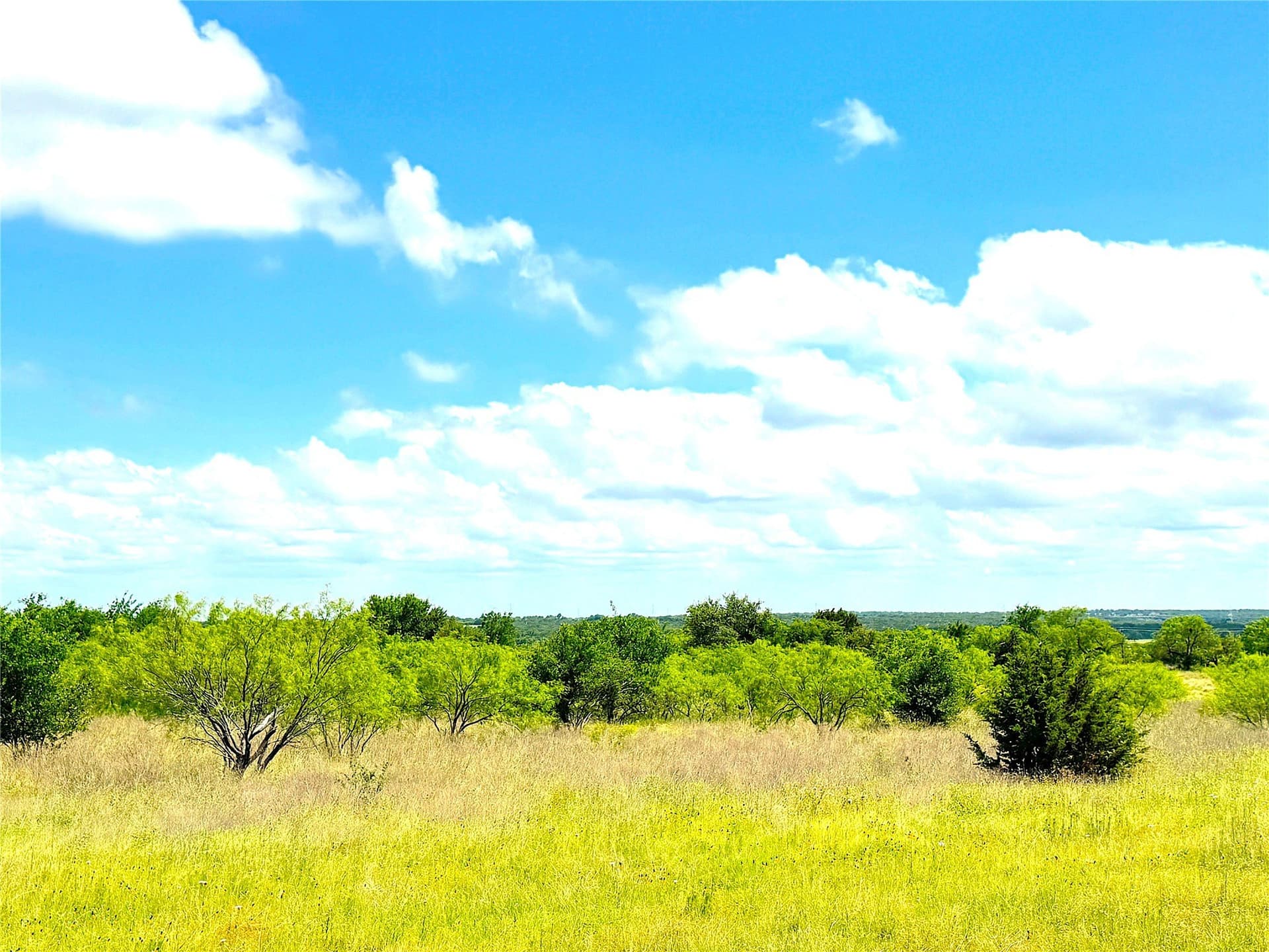 5 acres in Parker County - photo 5