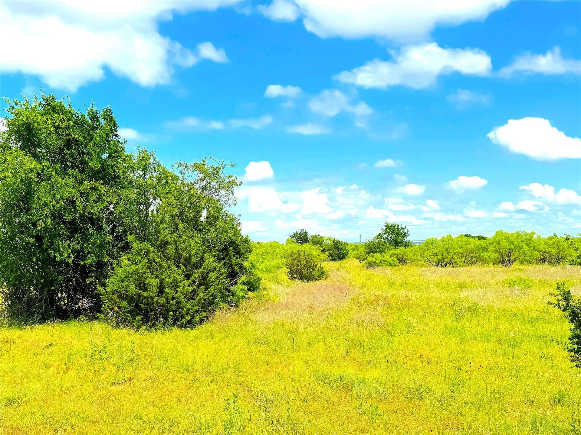 5 acres in Parker County - photo 10
