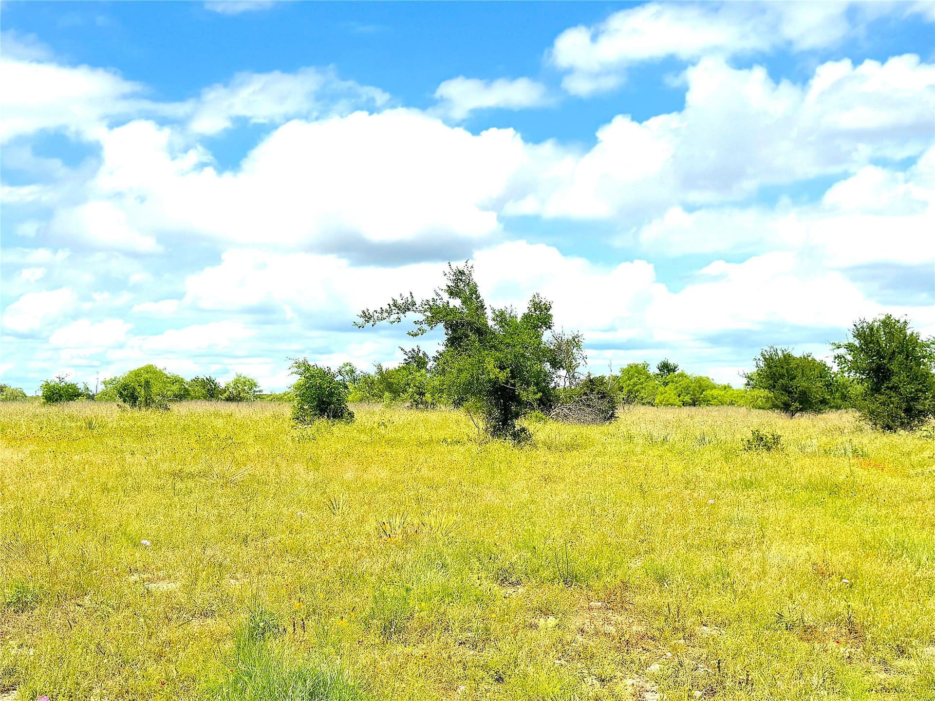 5 acres in Parker County - photo 6