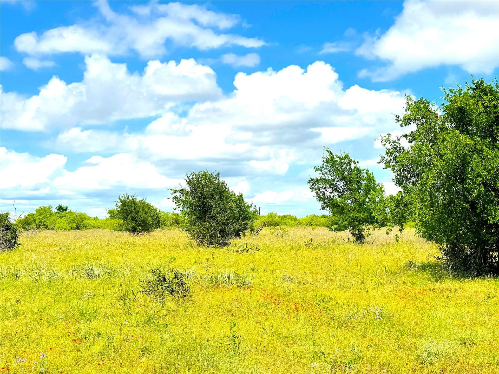 5 acres in Parker County - photo 9