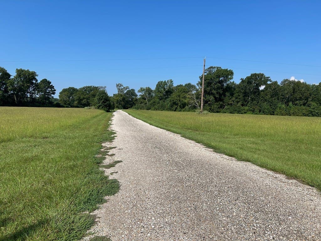 45.2 acres in Texas County gallery image 3