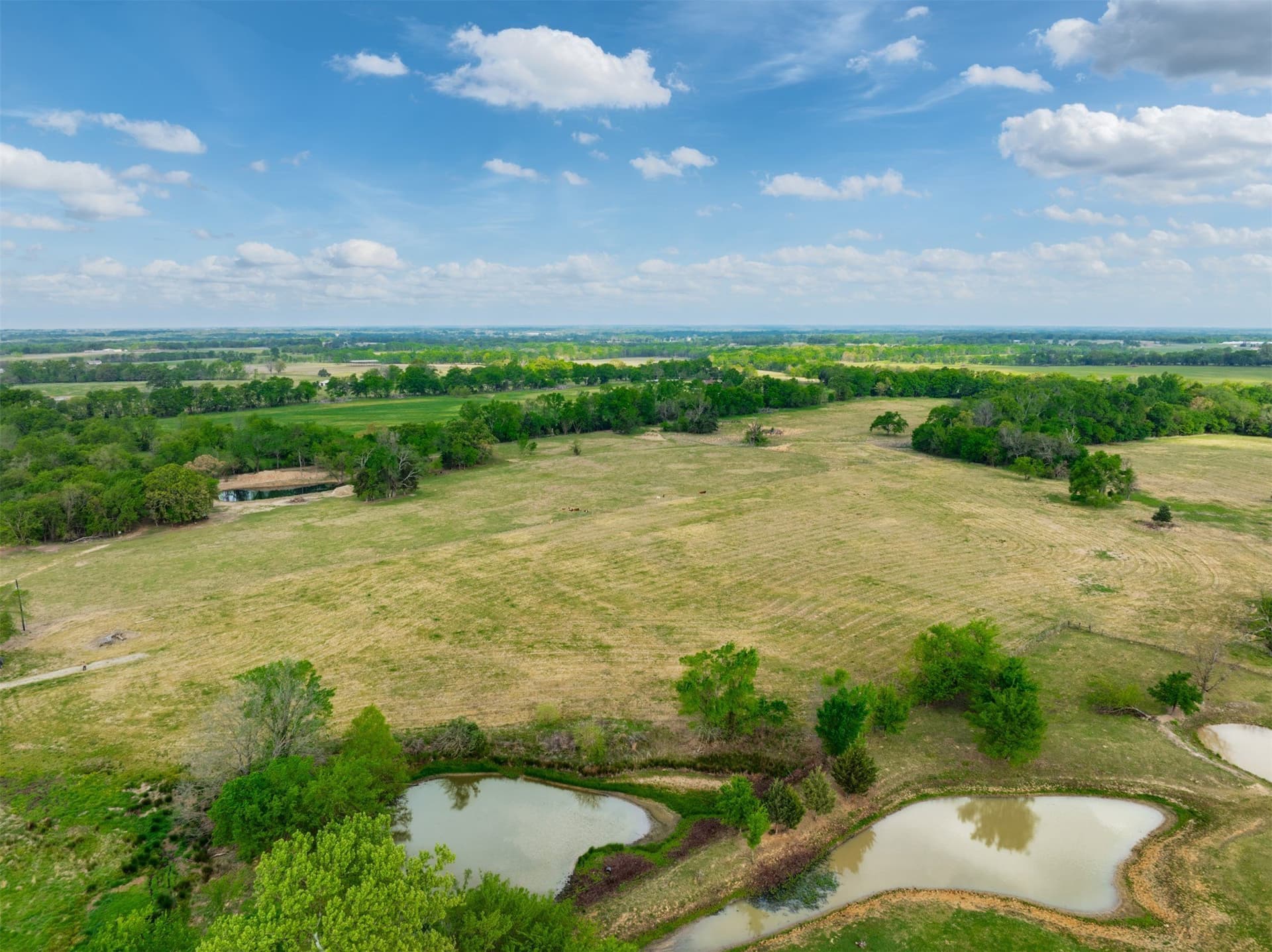 43.54 acres in Franklin (TX) County - photo 21