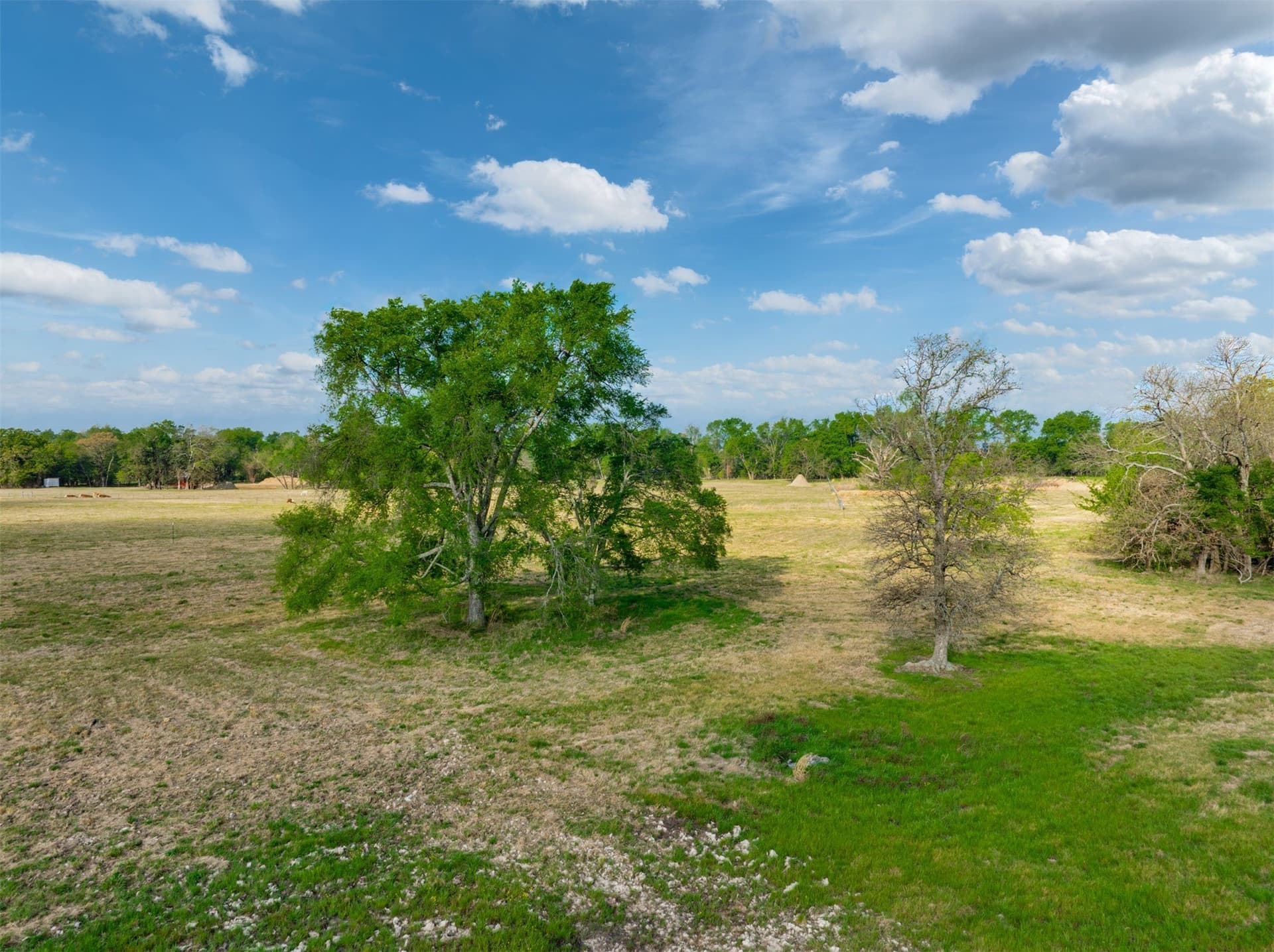 43.54 acres in Franklin (TX) County - photo 17