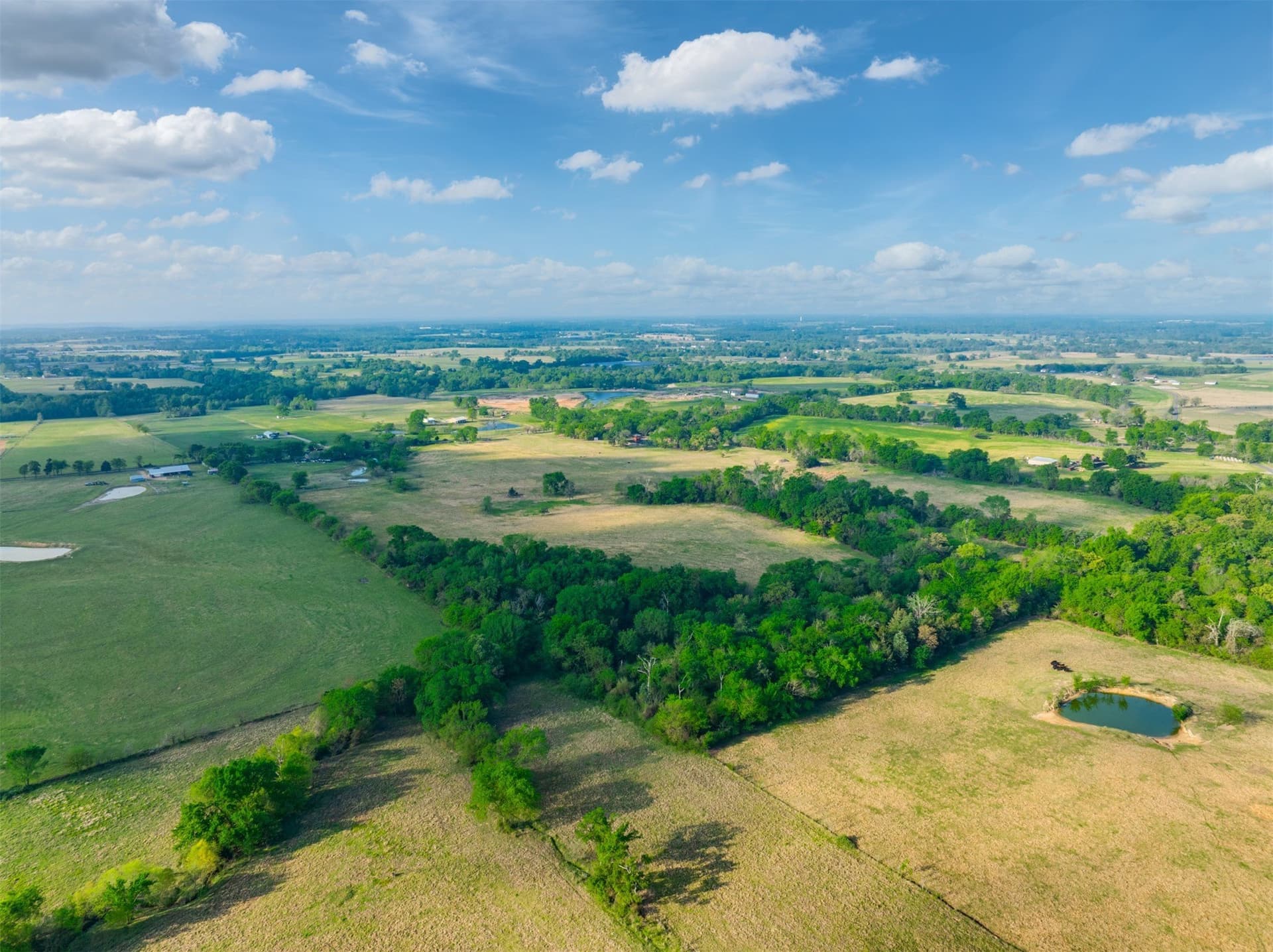 43.54 acres in Franklin (TX) County - photo 13