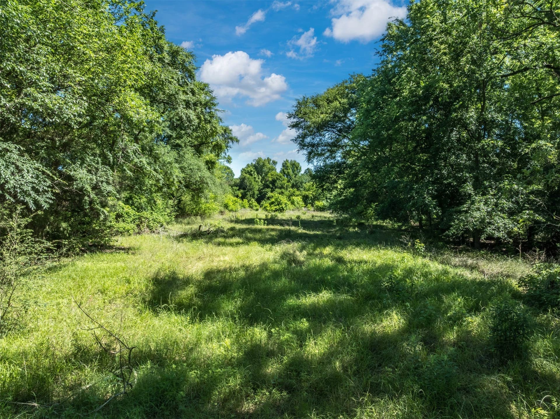 43.54 acres in Franklin (TX) County - photo 23