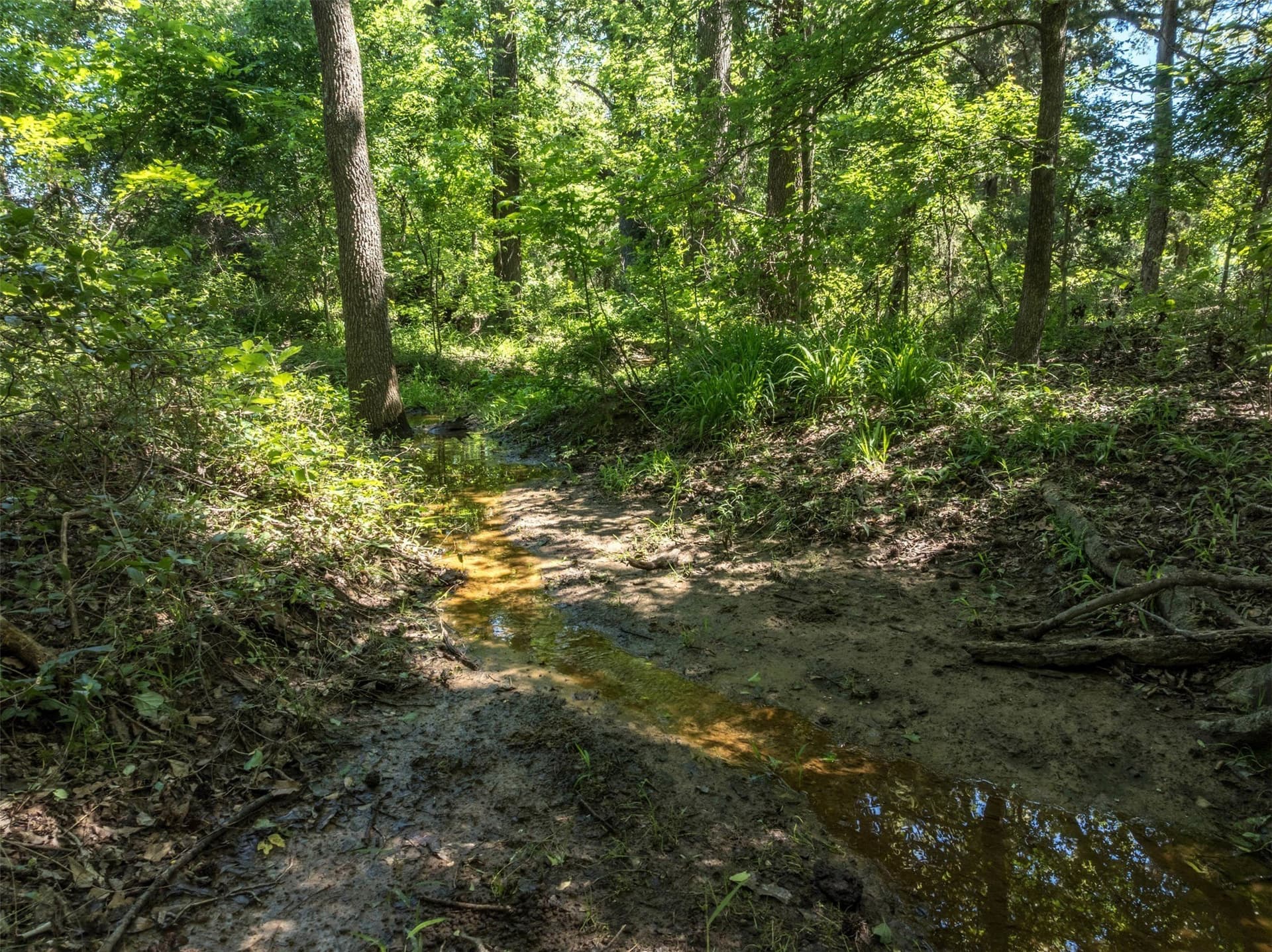 43.54 acres in Franklin (TX) County - photo 27