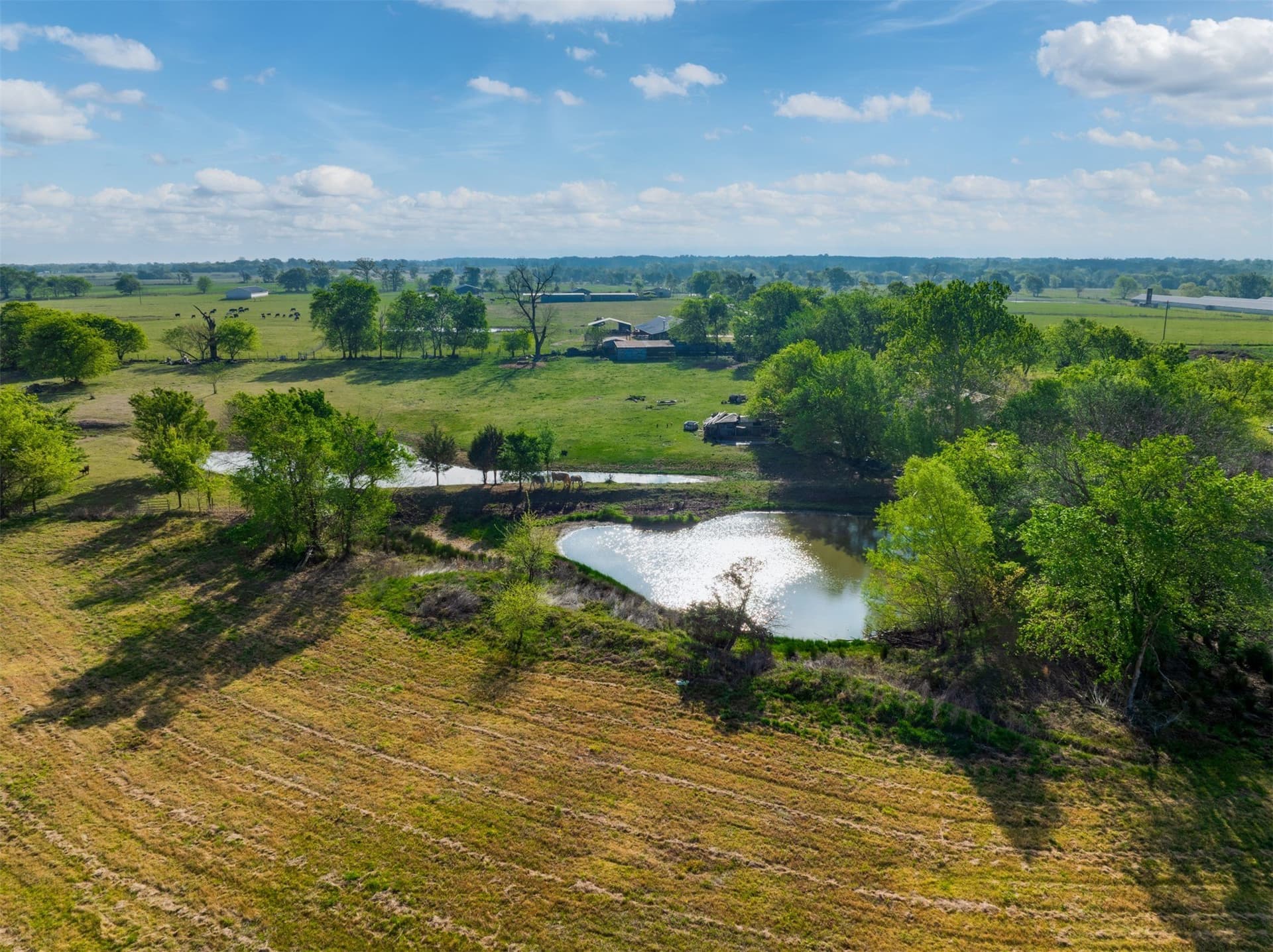 43.54 acres in Franklin (TX) County - photo 15