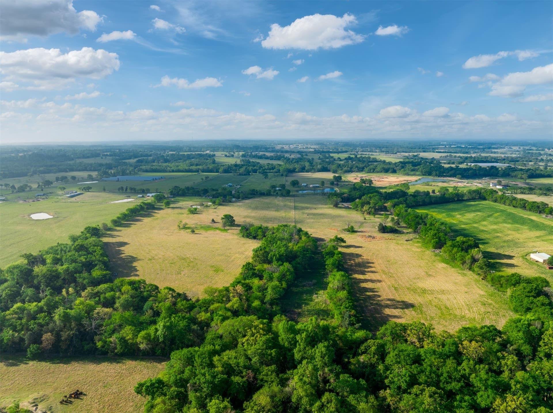 43.54 acres in Franklin (TX) County - photo 12