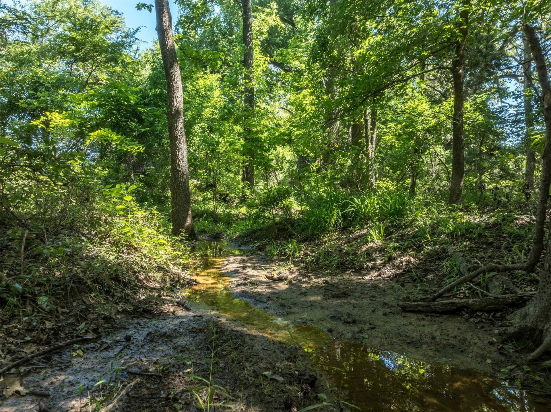 43.54 acres in Franklin (TX) County - photo 25