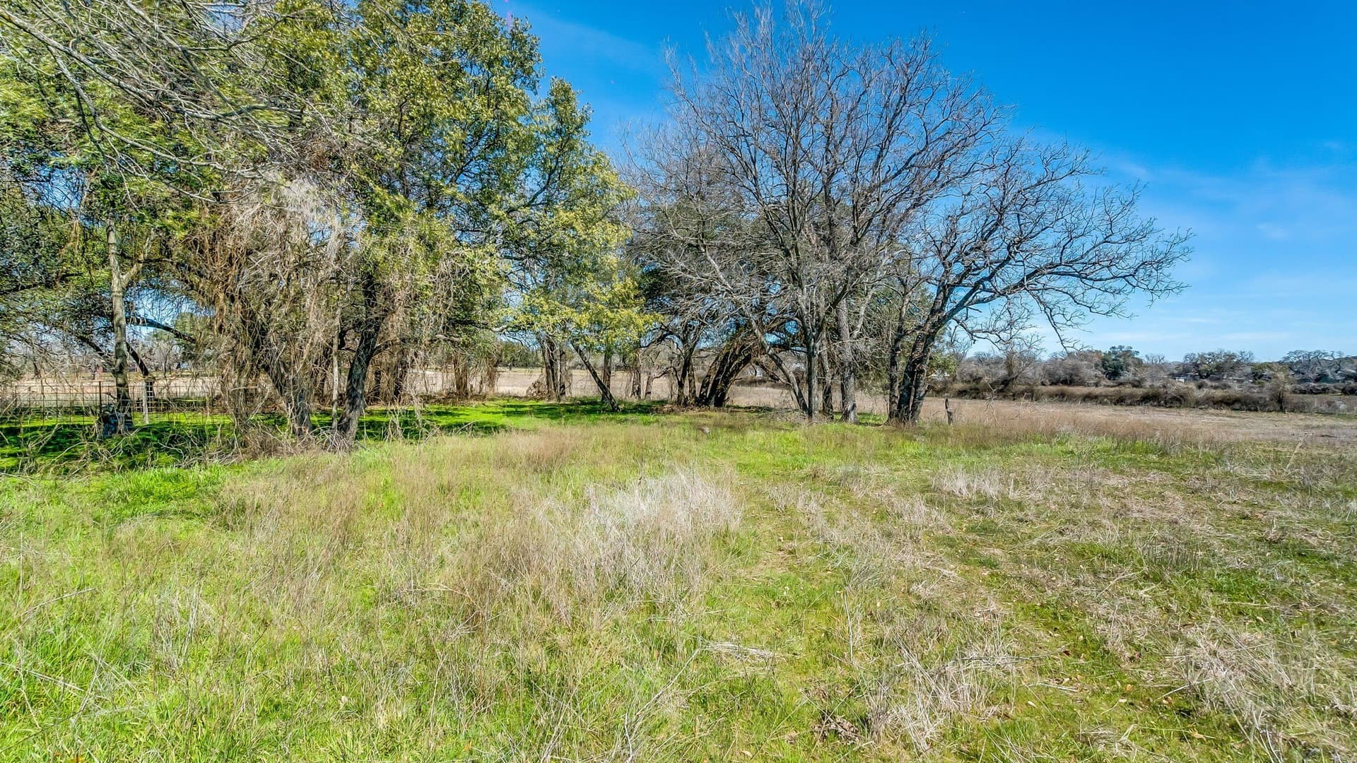 4 acres in Parker County featured view