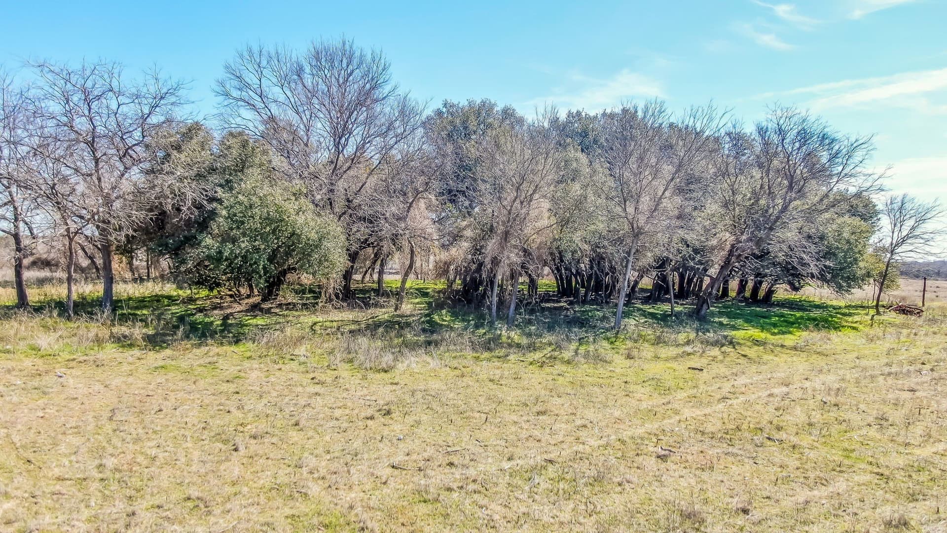 4 acres in Parker County - photo 8