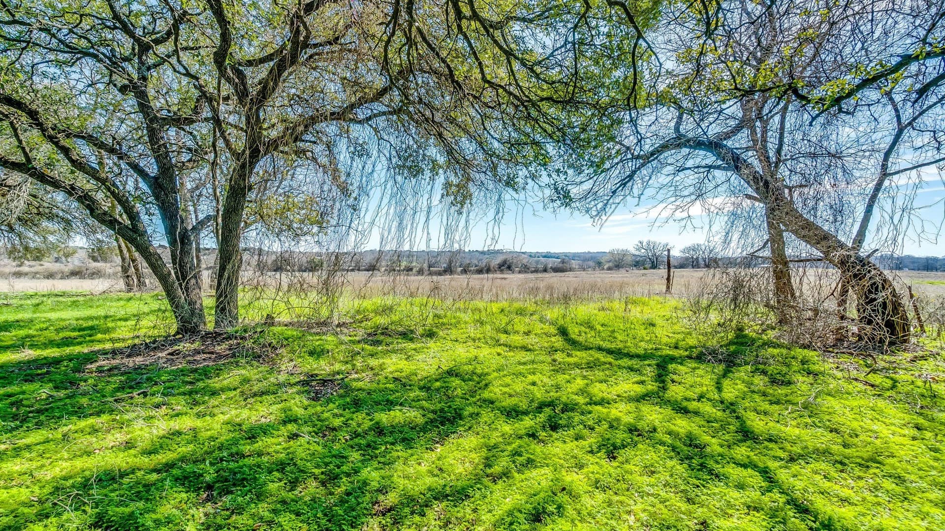 4 acres in Parker County - photo 6