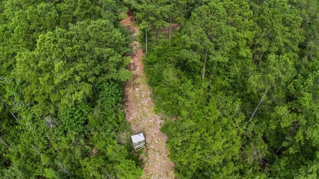 18 acres in Texas County gallery image 4