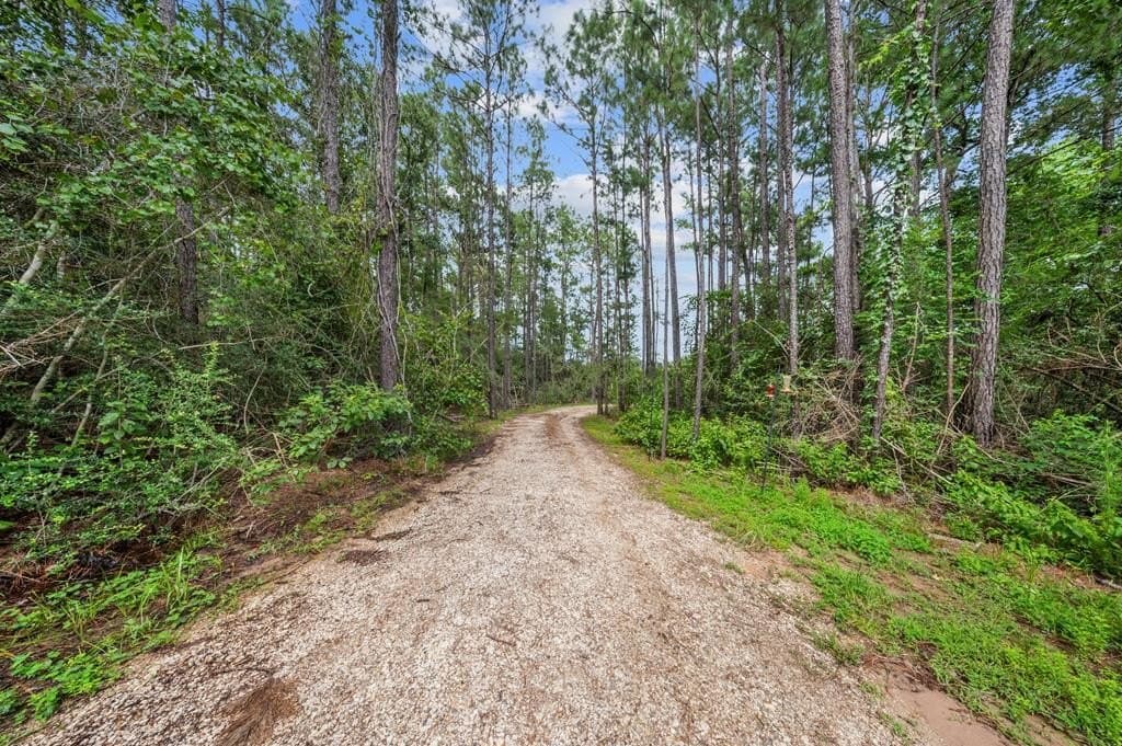 18 acres in Texas County gallery image 2