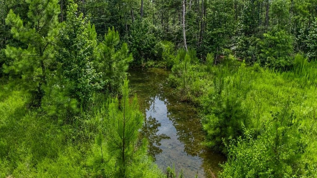 18 acres in Texas County gallery image 3