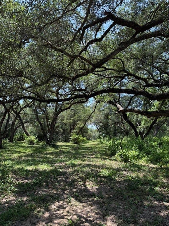 37.16 acres in AUSTIN County - photo 6
