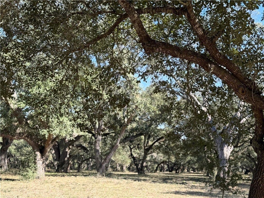 37.16 acres in AUSTIN County - photo 30
