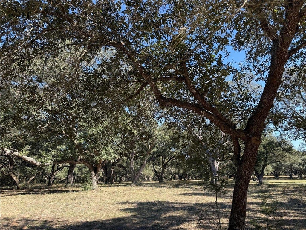 37.16 acres in AUSTIN County - photo 25