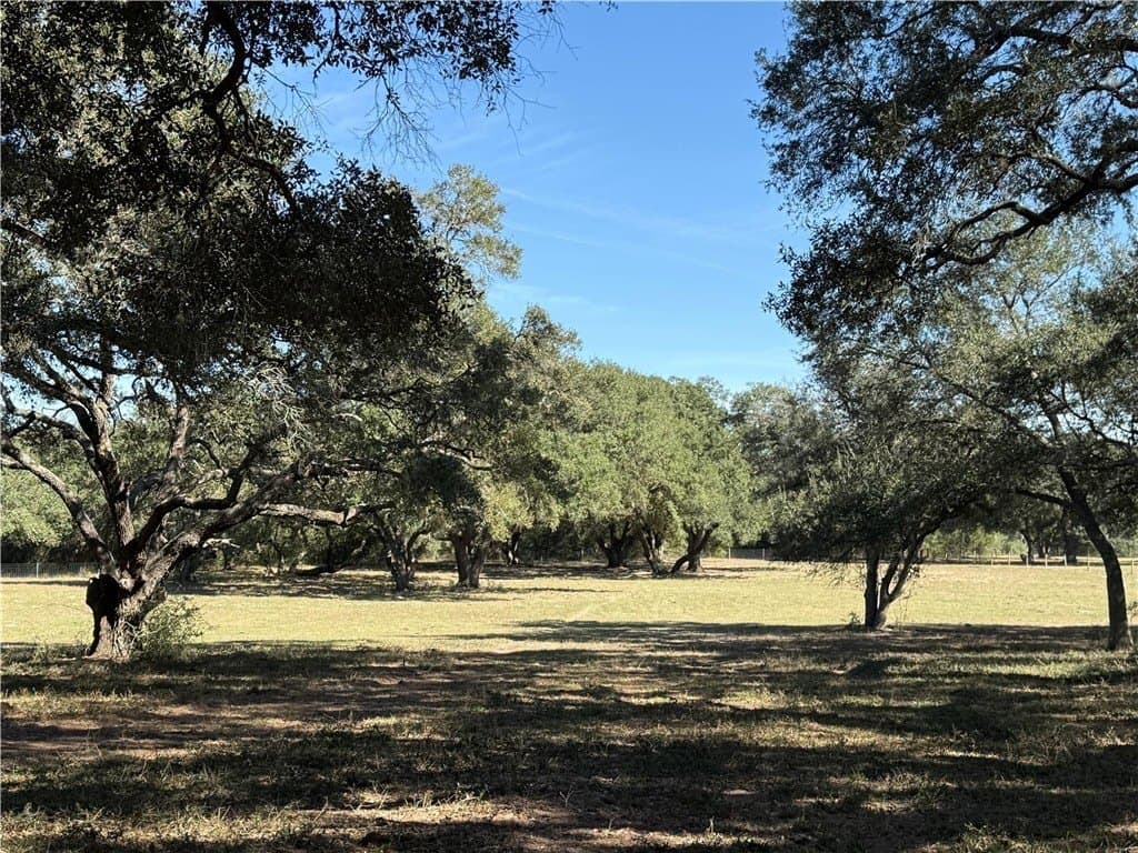 37.16 acres in AUSTIN County - photo 14