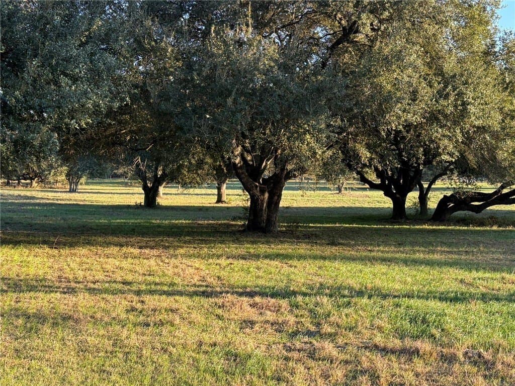 37.16 acres in AUSTIN County - photo 13