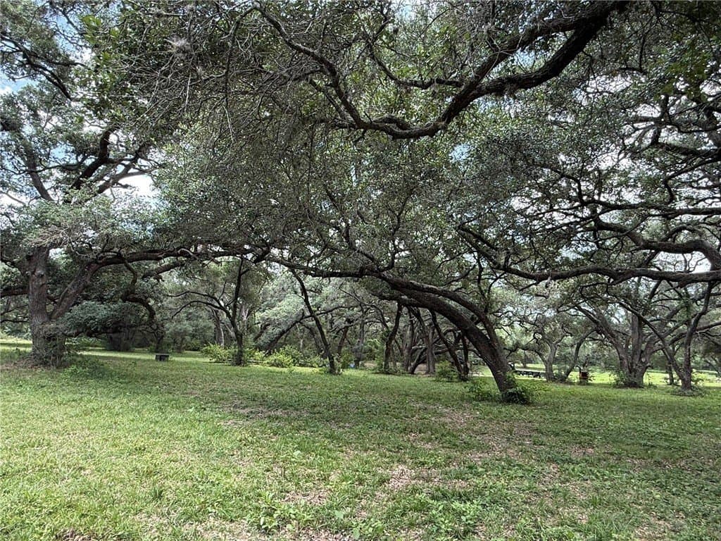 37.16 acres in AUSTIN County - photo 5