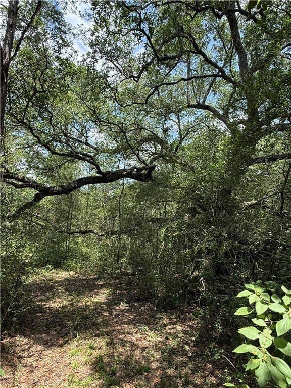 37.16 acres in AUSTIN County - photo 8