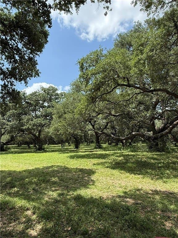 37.16 acres in AUSTIN County - photo 9