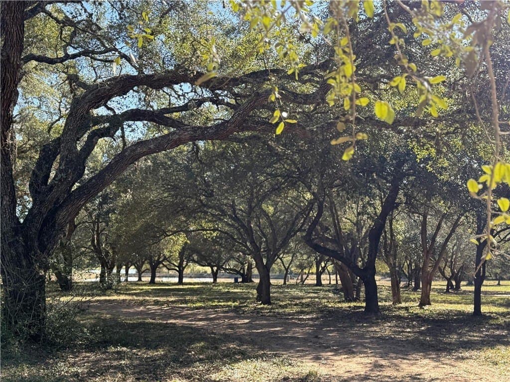37.16 acres in AUSTIN County - photo 20