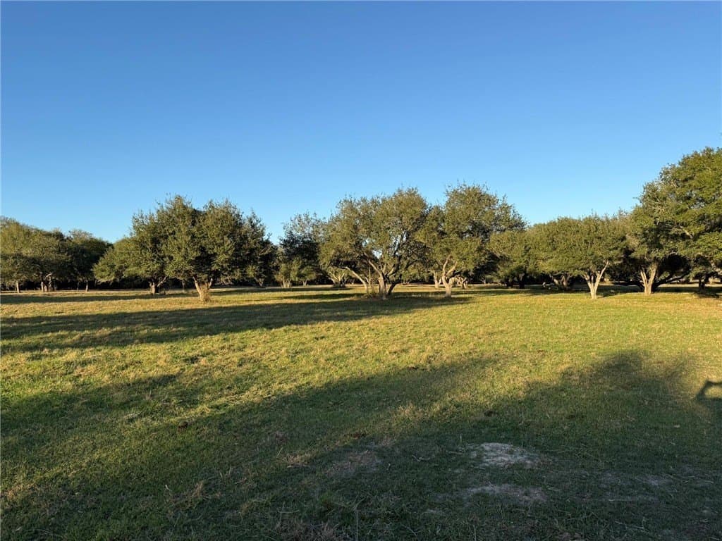 37.16 acres in AUSTIN County - photo 29