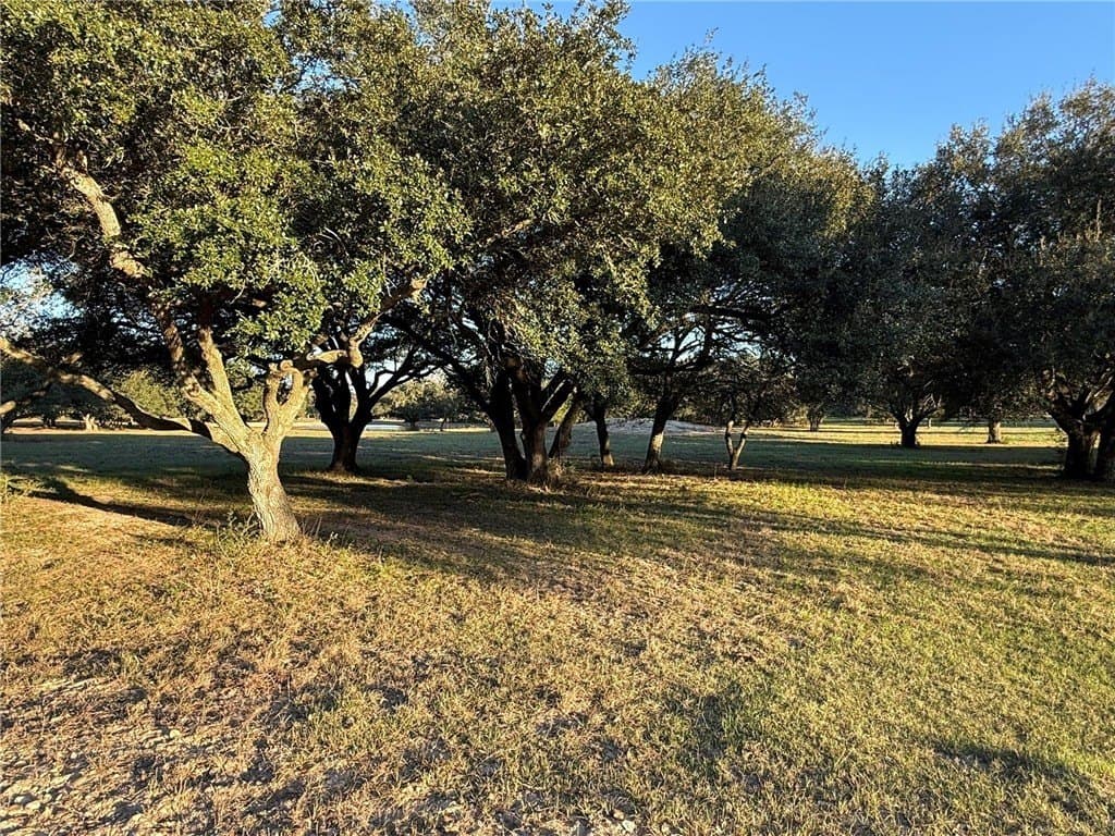 37.16 acres in AUSTIN County - photo 22