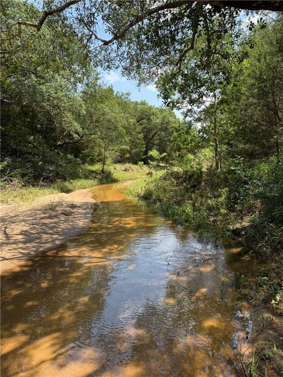 37.16 acres in AUSTIN County - photo 4