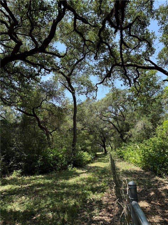 37.16 acres in AUSTIN County - photo 7