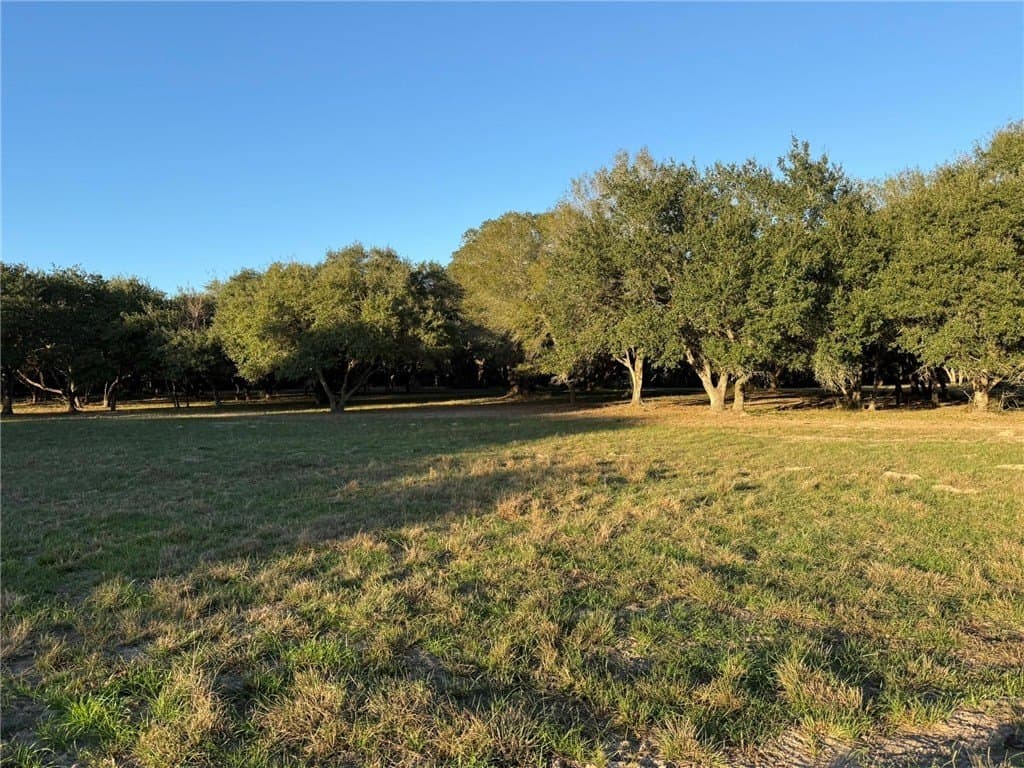 37.16 acres in AUSTIN County - photo 16
