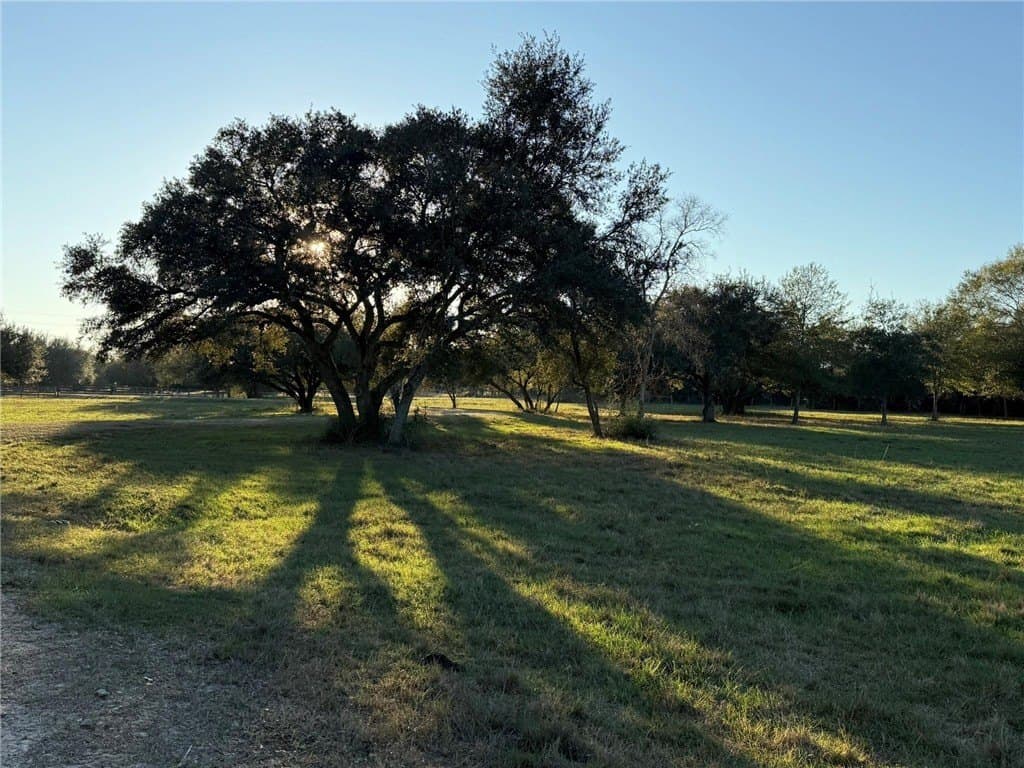 37.16 acres in AUSTIN County - photo 11