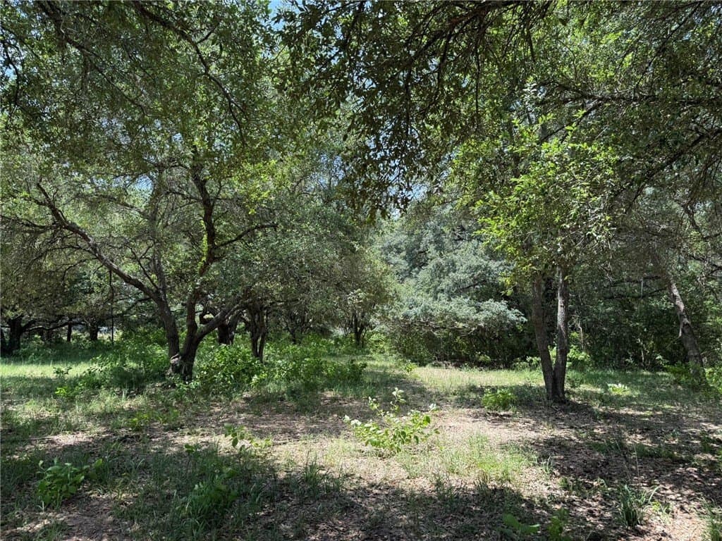 37.16 acres in AUSTIN County - photo 3