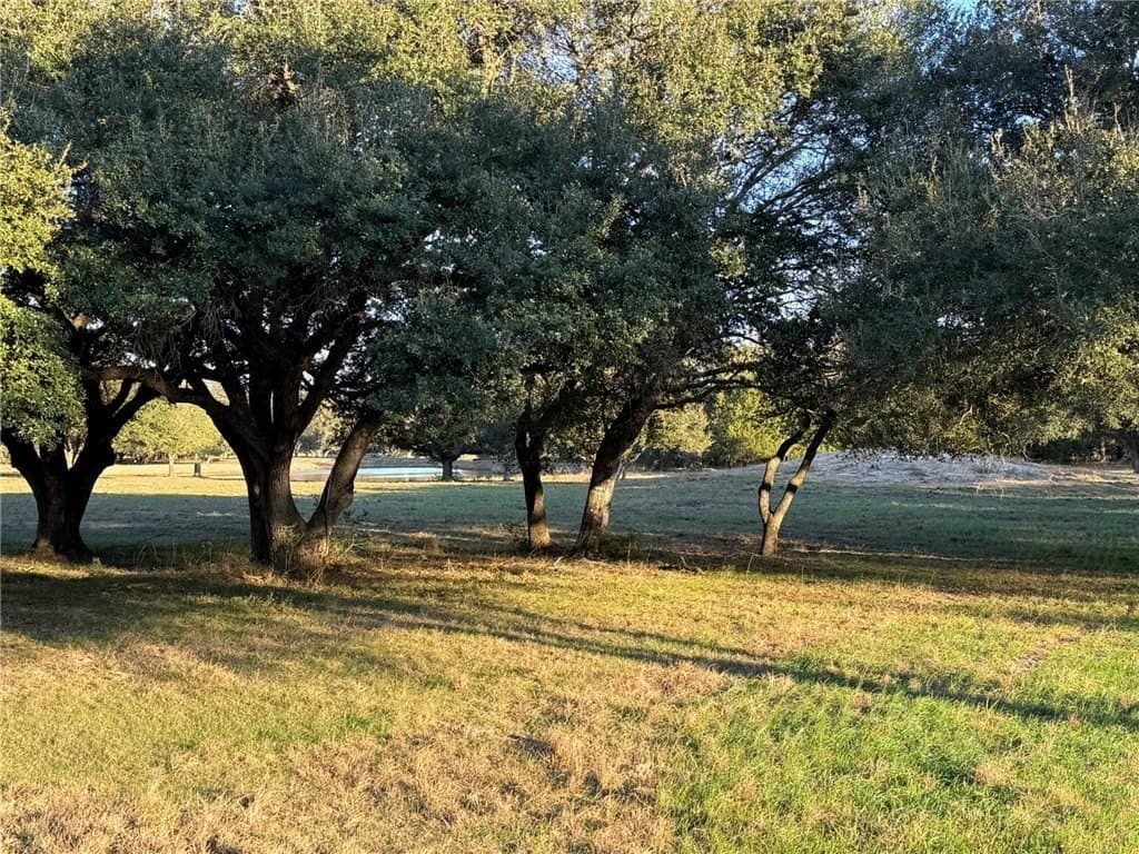 37.16 acres in AUSTIN County - photo 19
