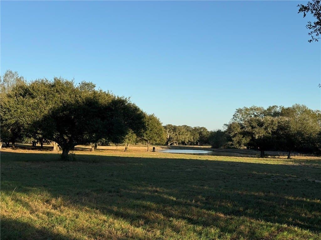 37.16 acres in AUSTIN County - photo 10