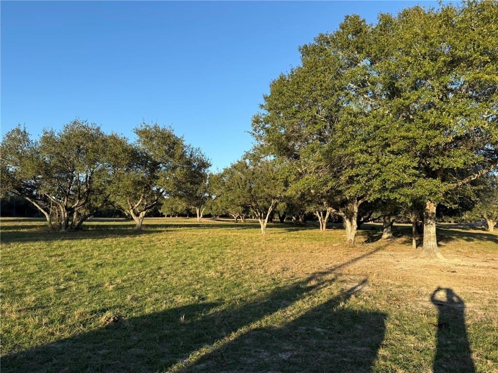 37.16 acres in AUSTIN County - photo 27