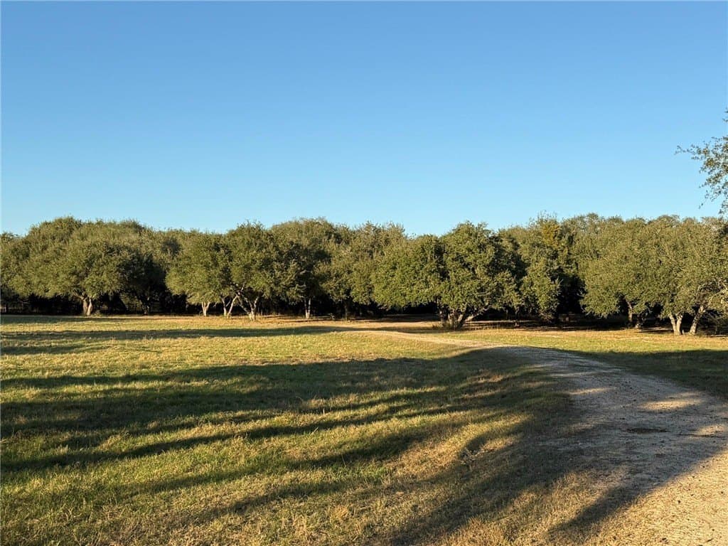 37.16 acres in AUSTIN County - photo 28